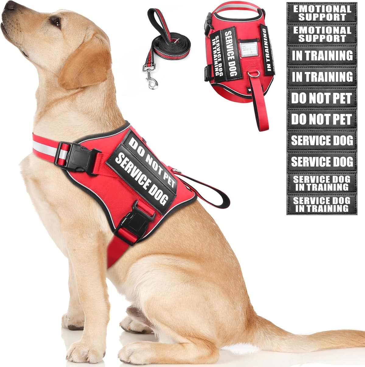 Service Dog Harness and Leash Set, Training Dog Vest with 10 Dog Patches, Emotional Support Therapy Dog Vest Harness for Small Medium Large and Extra Large Dogs(Red, L)